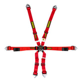 Schroth Enduro 2x2 Harness